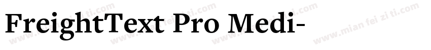 FreightText Pro Medi字体转换